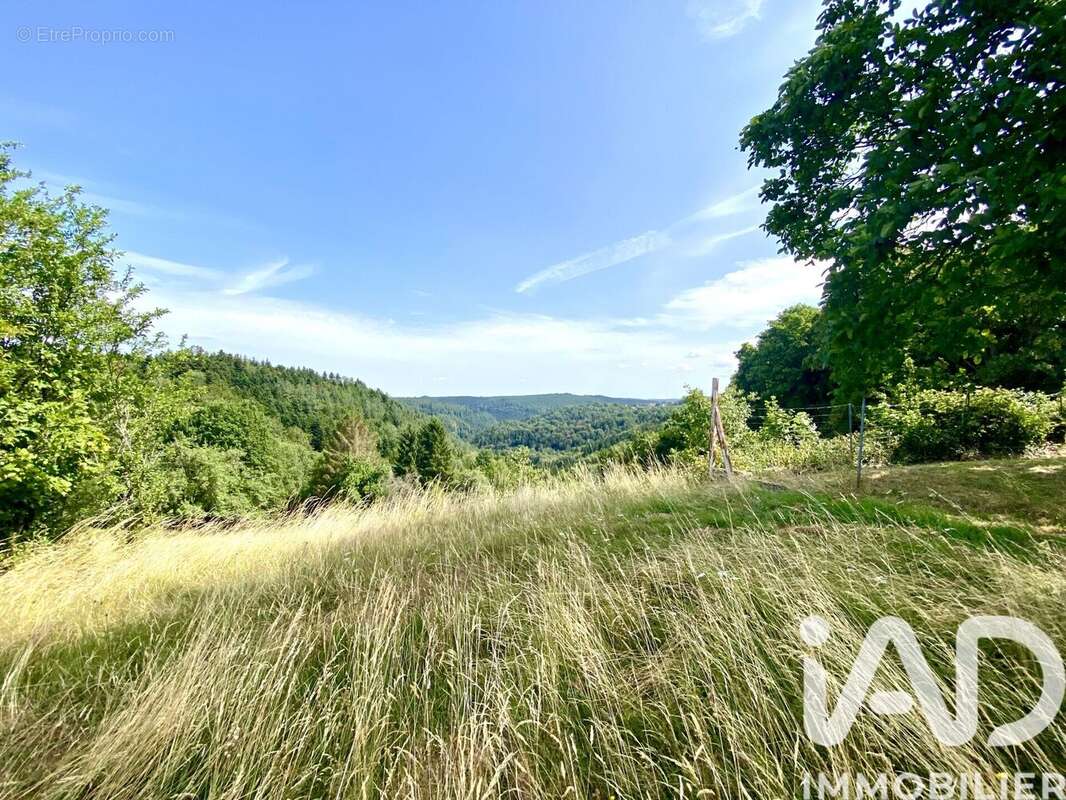 Photo 3 - Terrain à HOMMERT