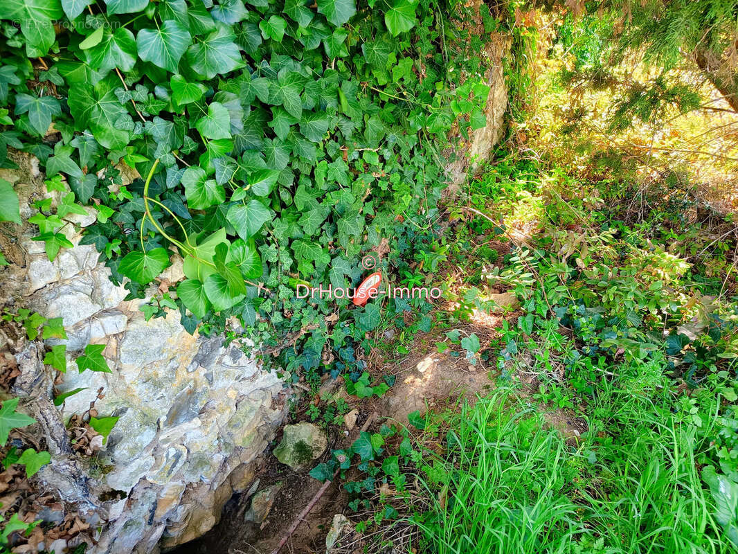 Terrain à SAINT-JEAN-DE-THOUARS