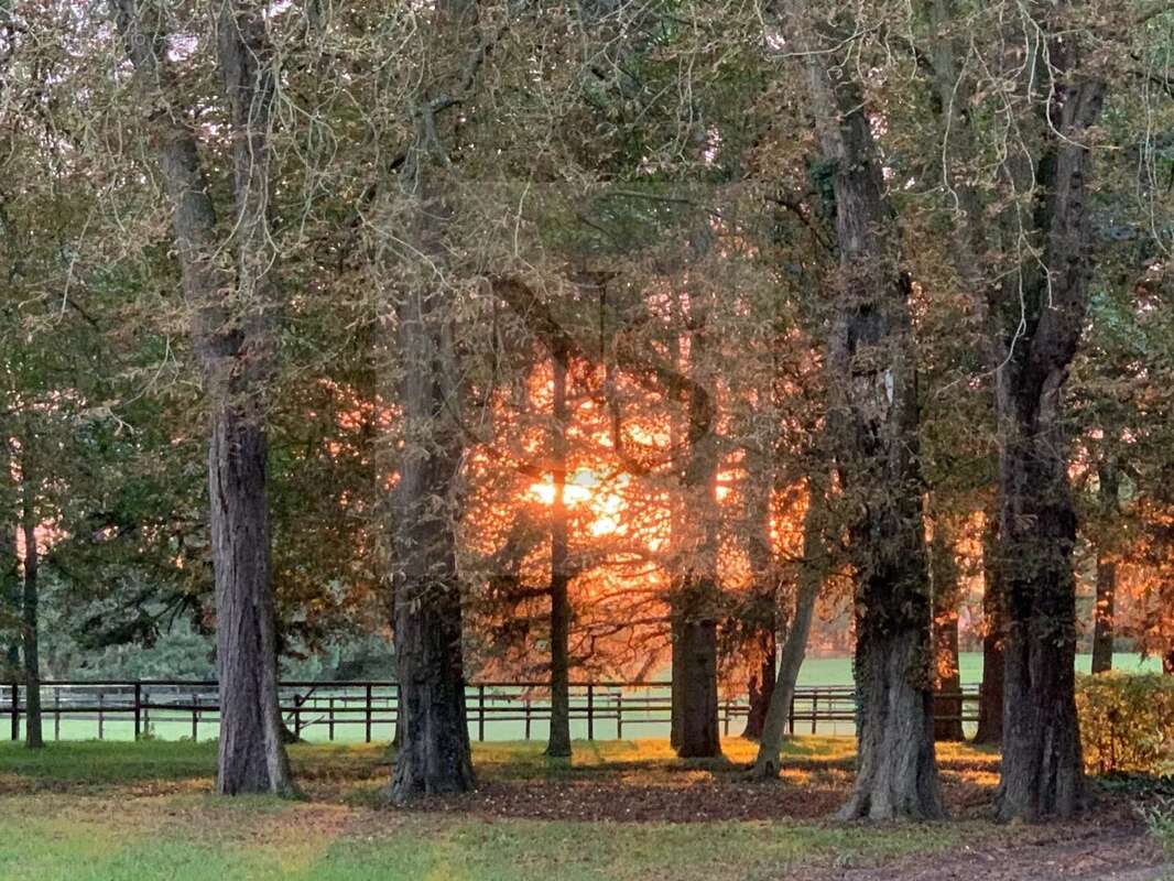Maison à FORGES-LES-EAUX