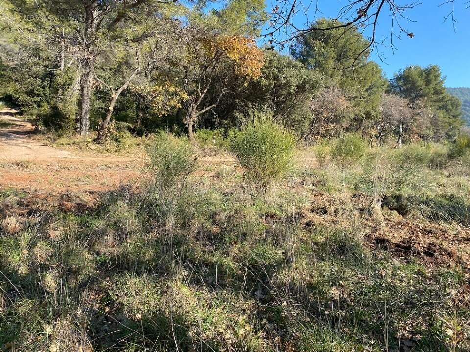 Terrain à PUGET-VILLE