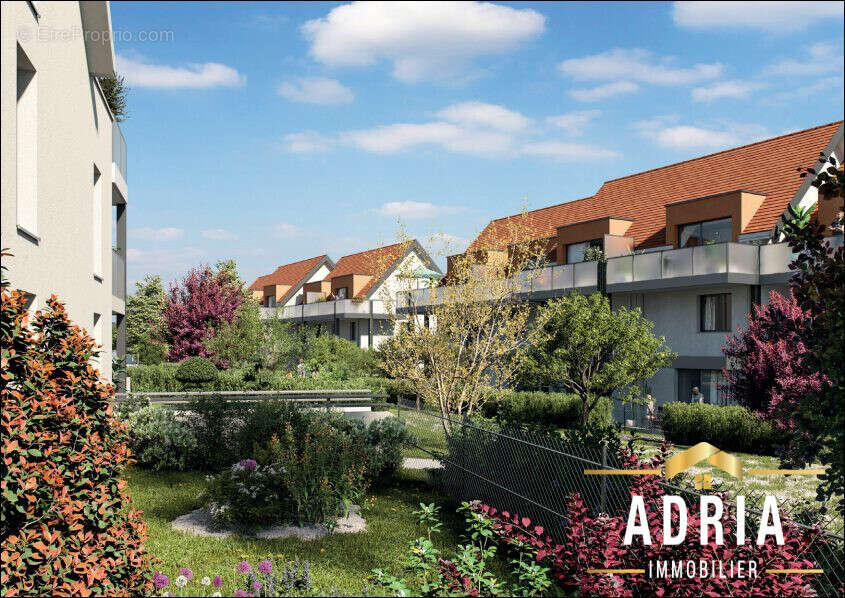 Appartement à OBERSCHAEFFOLSHEIM