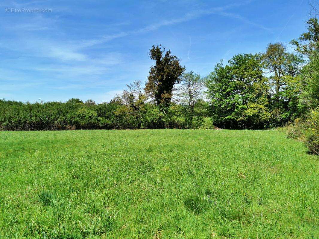 Terrain plat 4148m² - calme - environnement campagne - photo 4