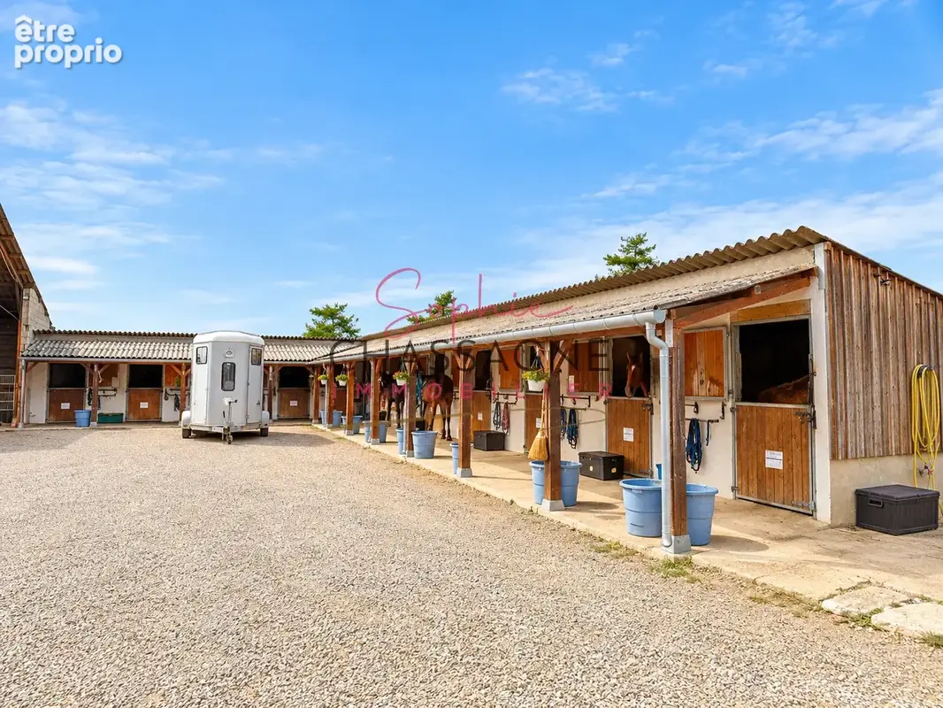 Centre équestre et écurie de propriétaires   plus de 10 hectares   un logement - proche agen (47) - photo 19