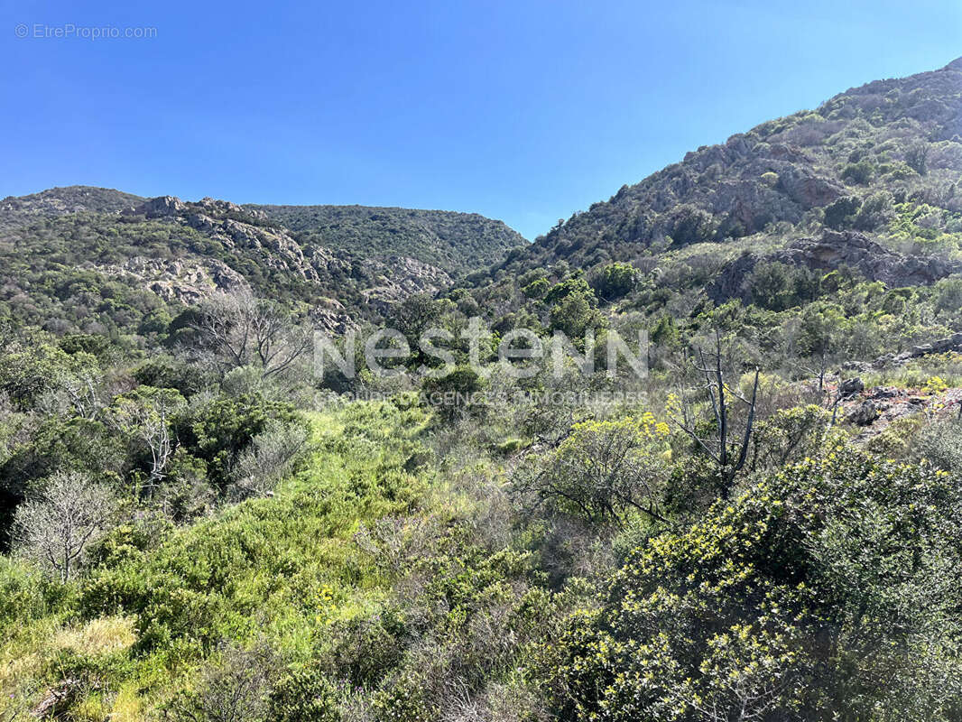 Terrain à PORTO-VECCHIO