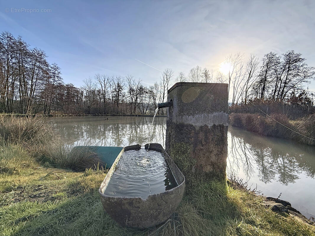 Terrain à MIRECOURT