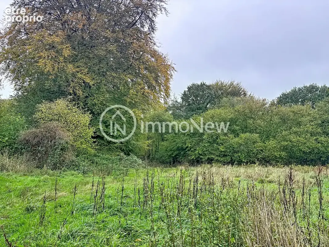 Maison a renover 70m2  sur terrain de 2 hectares environ avec ruisseau et puit - photo 8