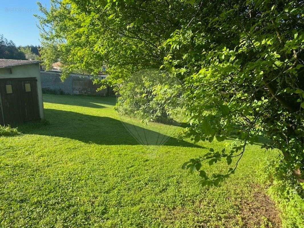 Terrain à LES MATHES