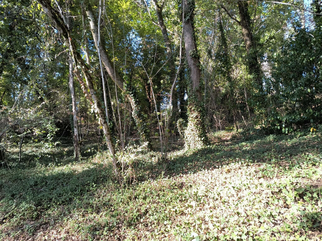 Terrain à BRIVE-LA-GAILLARDE