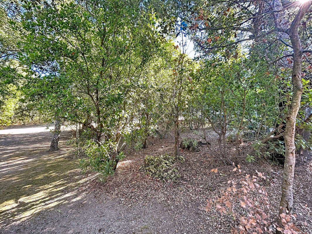 Maison à PORTO-VECCHIO