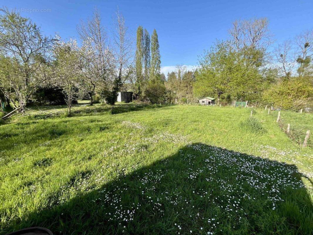 Maison à AVAILLES-LIMOUZINE