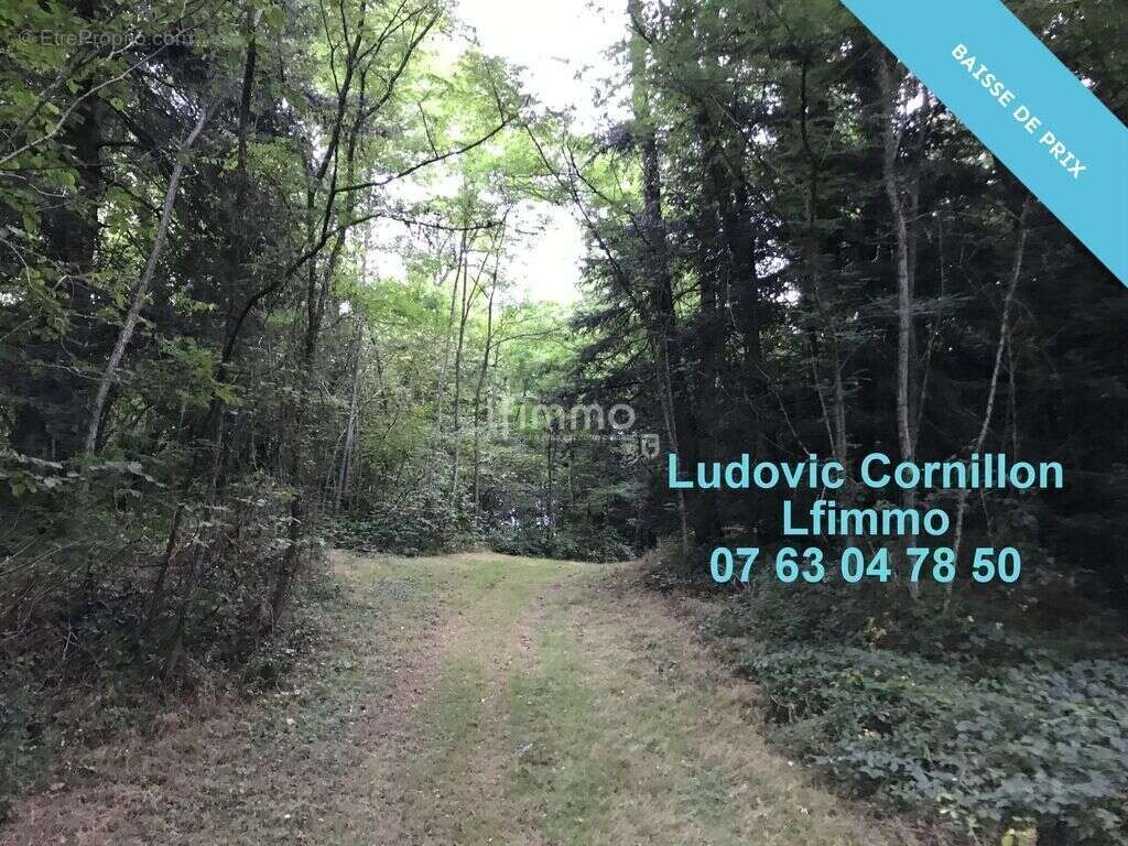 Propriété de charme 210m2, grange, 4ha, 2 étangs - photo 21