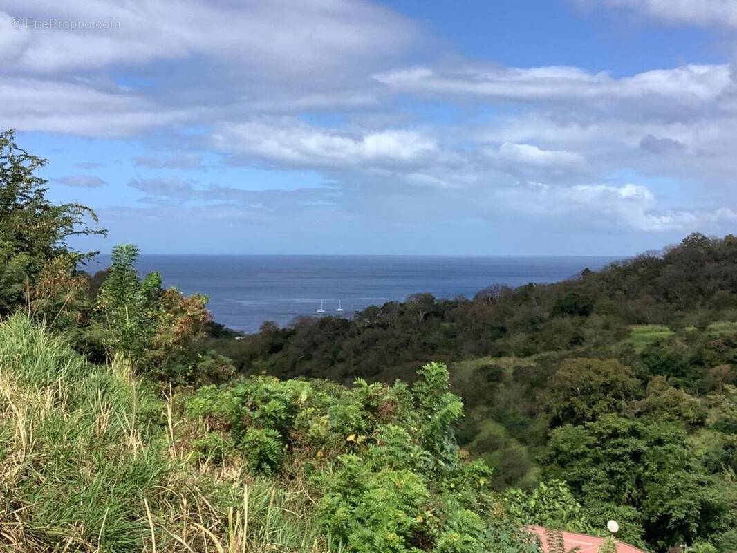 Photo 1 - Terrain à LE CARBET