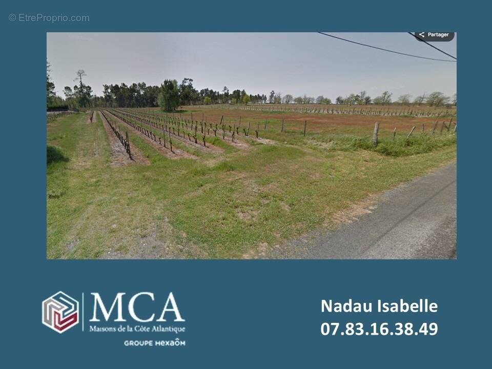 Terrain à SAINT-SAVIN