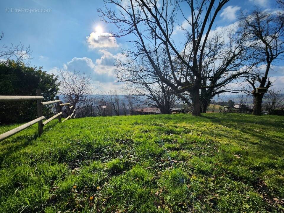 Terrain à CHUZELLES