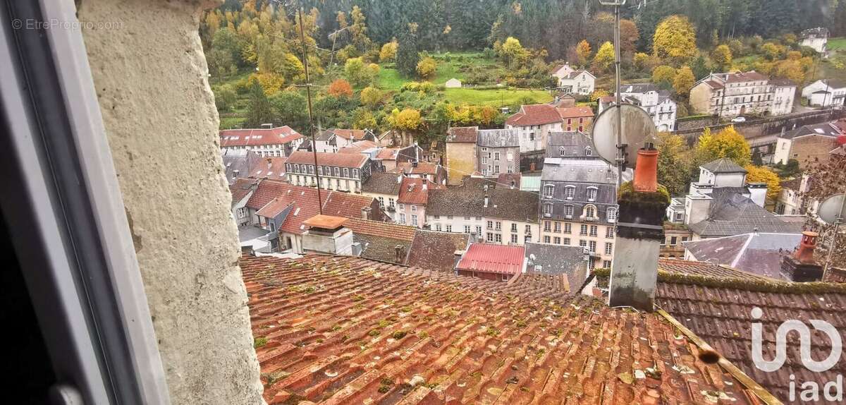 Photo 6 - Maison à PLOMBIERES-LES-BAINS