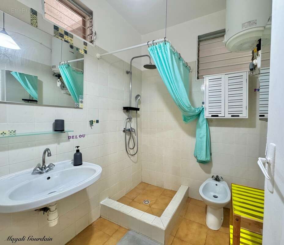A vendre - propriété avec deux habitations indépendantes au cœur d’un jardin tropical à sainte-anne - photo 16