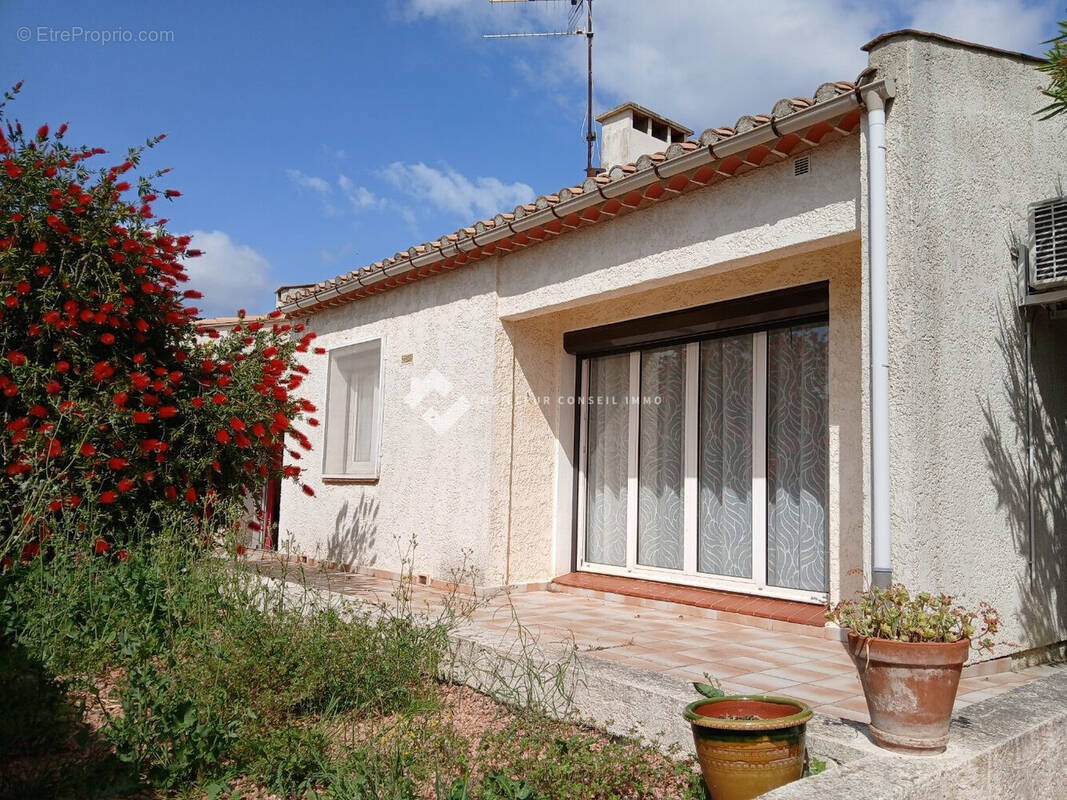Façade devant - Maison à MOUSSAN