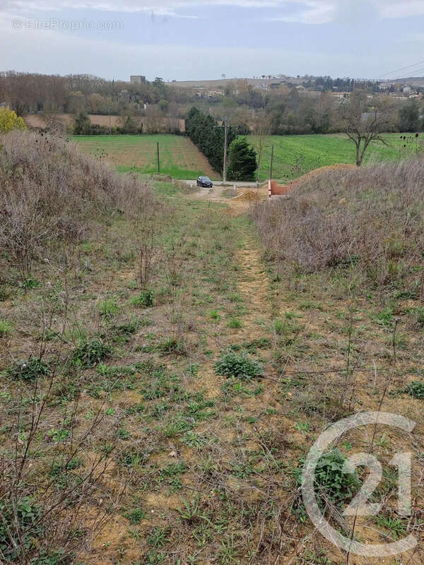 Terrain à SALLES-SUR-L'HERS
