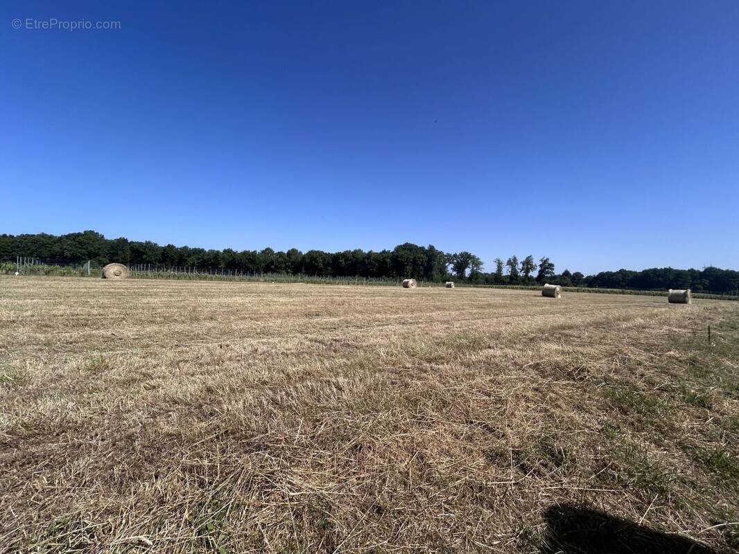 Terrain à CHERAC