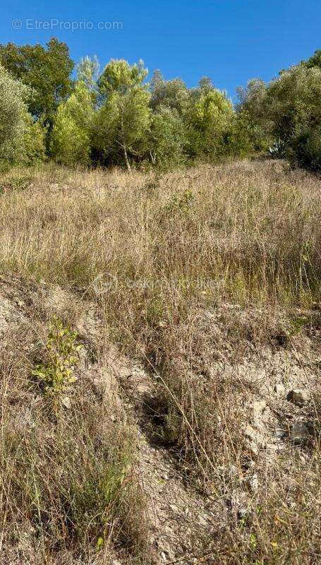 Terrain à PIERREFEU