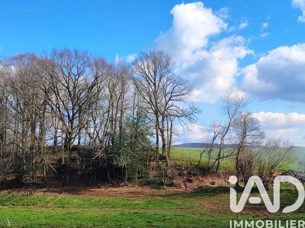 Photo 3 - Maison à SANSAC-VEINAZES