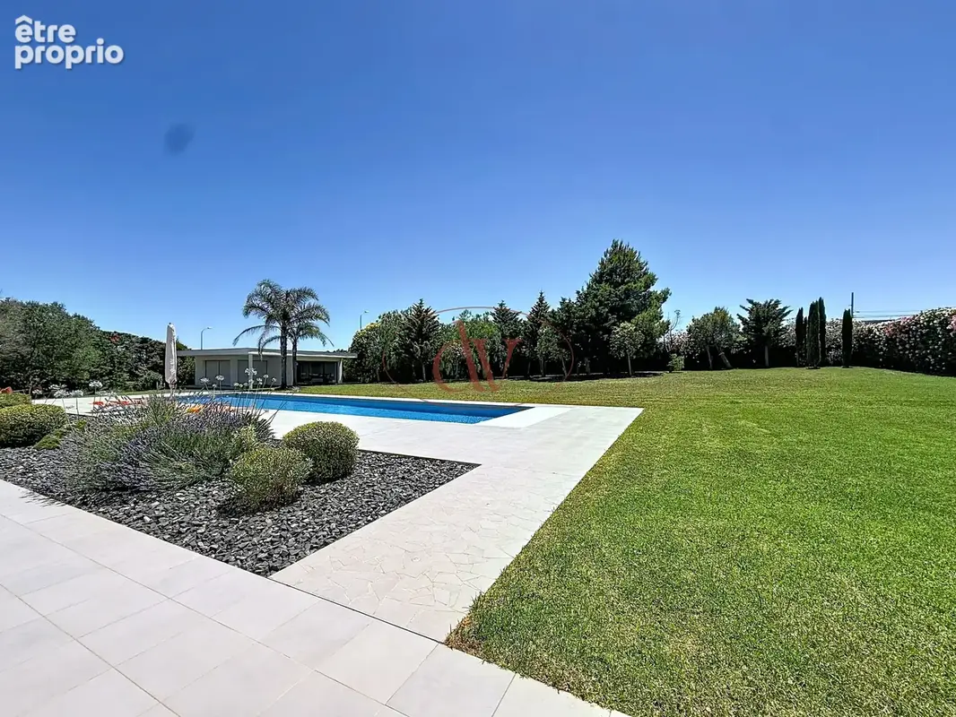 Mas llaro - exclusivite - photo 18