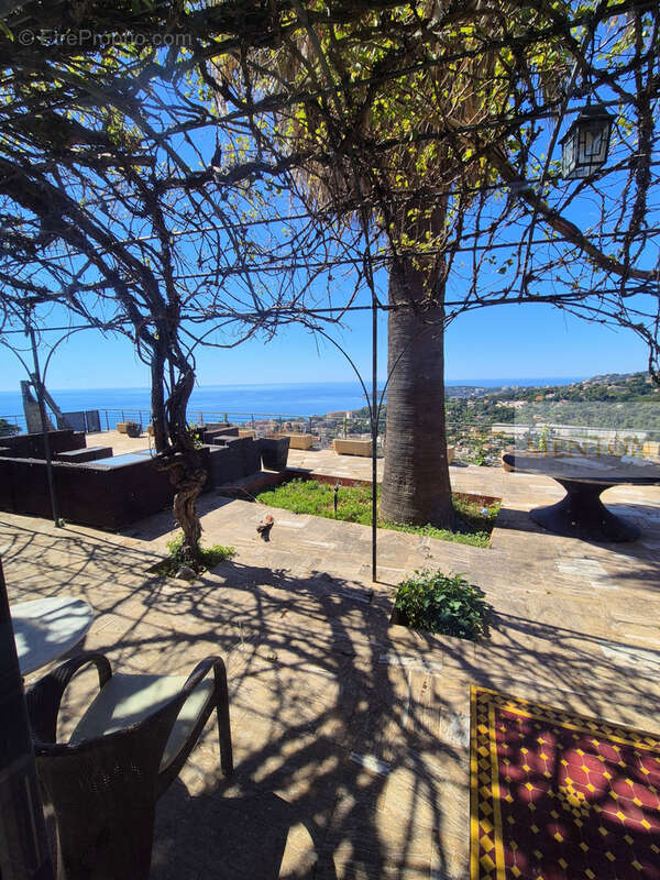 Menton - quartier  annonciade -  3 villas - vue panoramique mer - piscine 1800m terrain  - parkings - photo 31