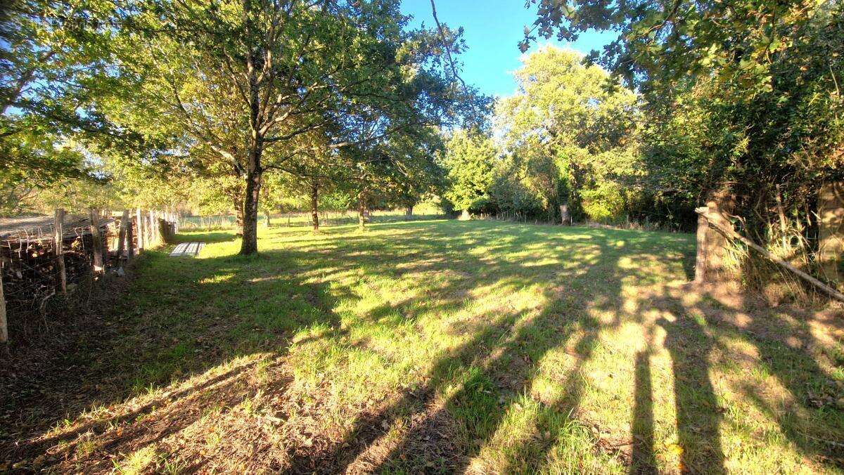 Maison à SAINT-VIAUD