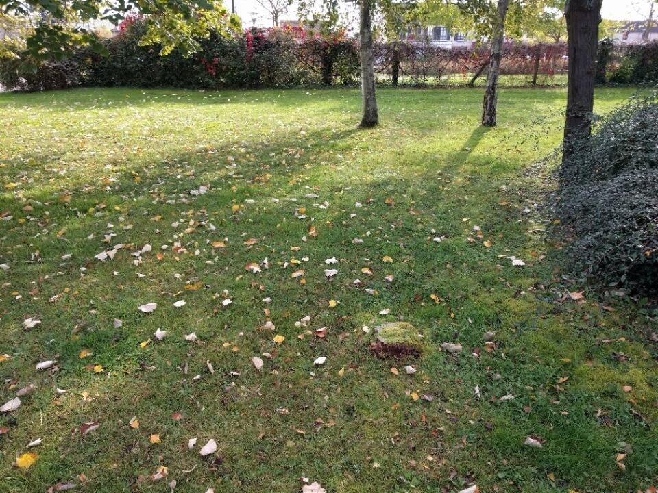 Terrain à COMBS-LA-VILLE