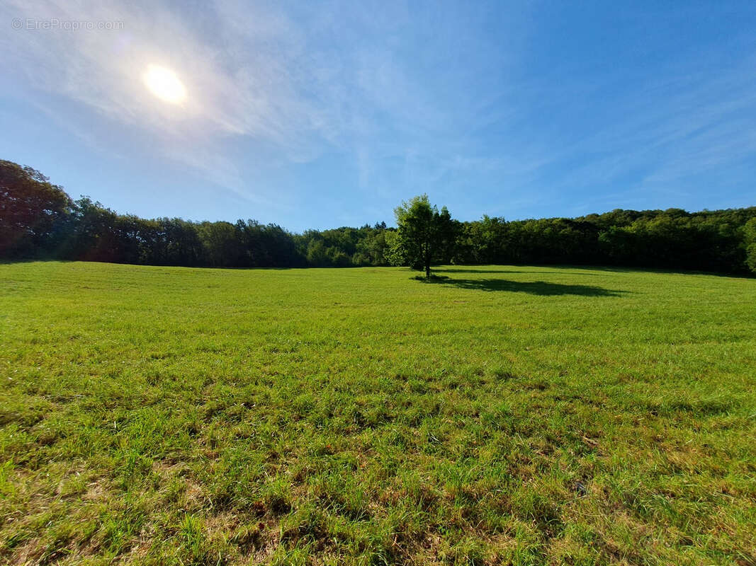 Maison à CAPDENAC-GARE