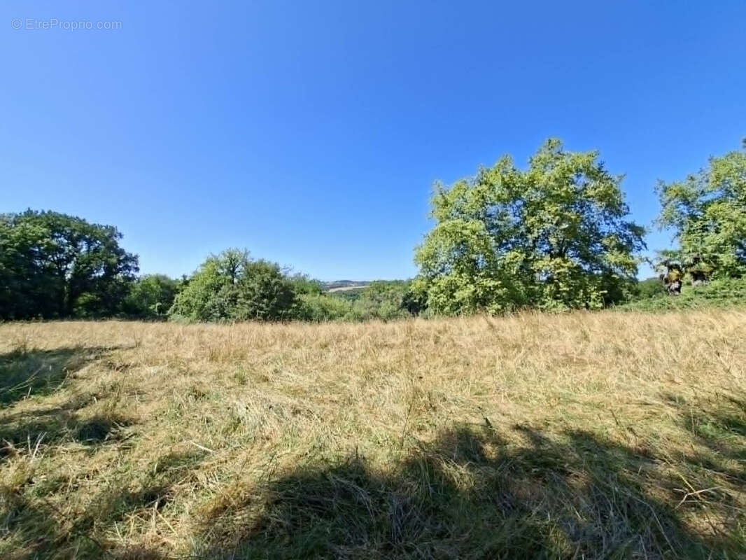 Corps de ferme des années 70 avec dépendances et 5 Hectares de terres et bois d'un seul tenant. - photo 9