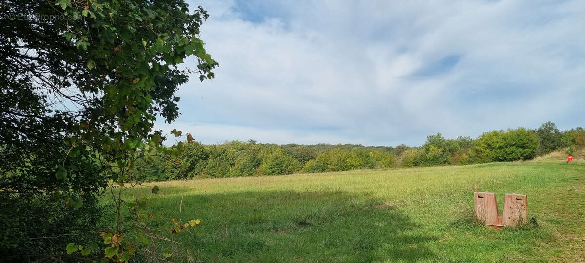 Appartement à MONTRICHARD