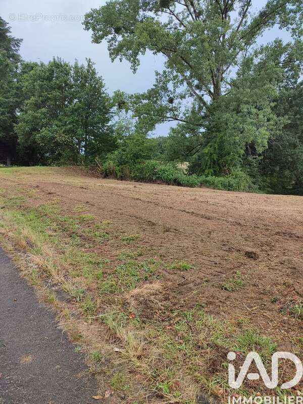 Photo 4 - Terrain à SAINT-VICTURNIEN
