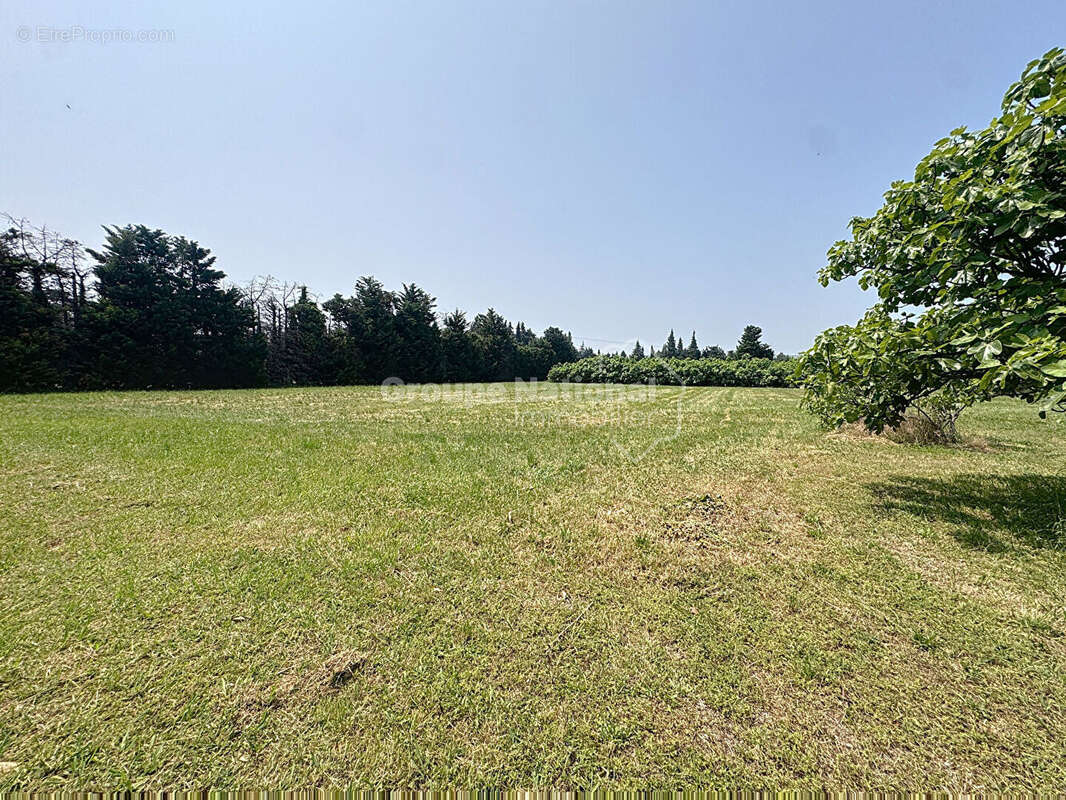 Maison à CHEVAL-BLANC
