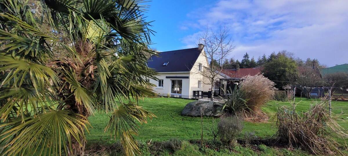 Photo 1 - Maison à CAMORS