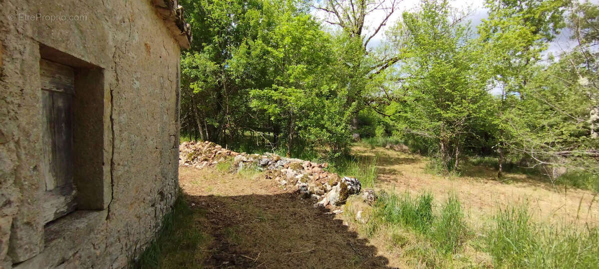 Maison à SAINT-PROJET