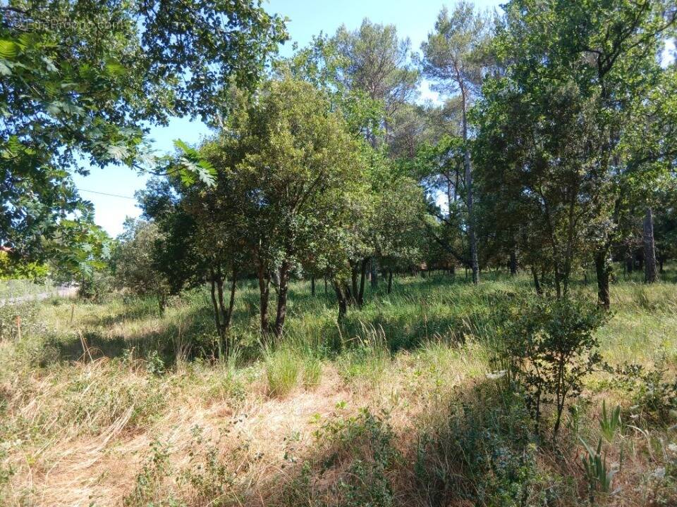 Terrain 650 m² à Gareoult  - photo 1