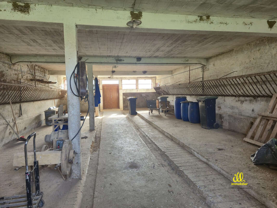 Ecurie - Maison à SEDAN