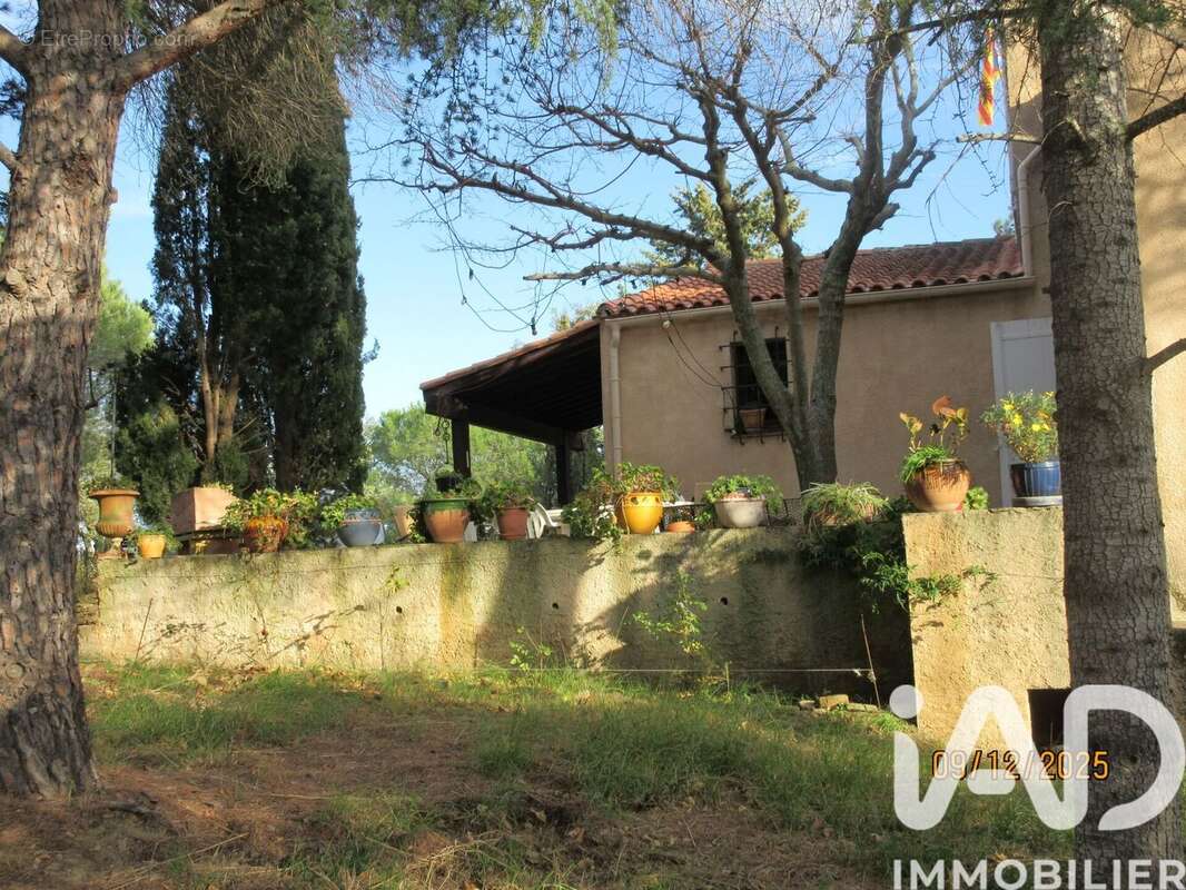 Photo 9 - Maison à MONTAURIOL