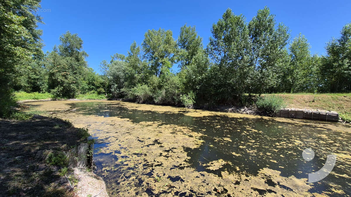 Étang de pêche - 4 575 m2   Mareuil-sur-Aÿ - photo 2