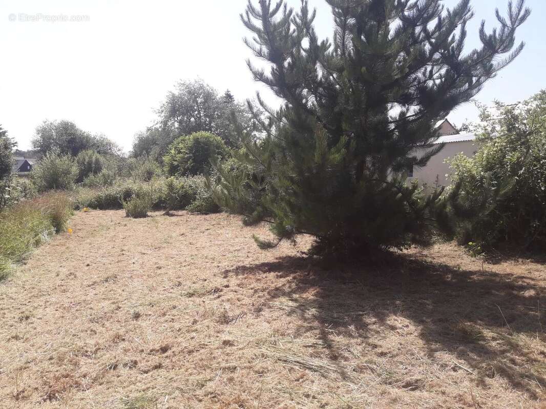 Terrain à SAINT-COULOMB