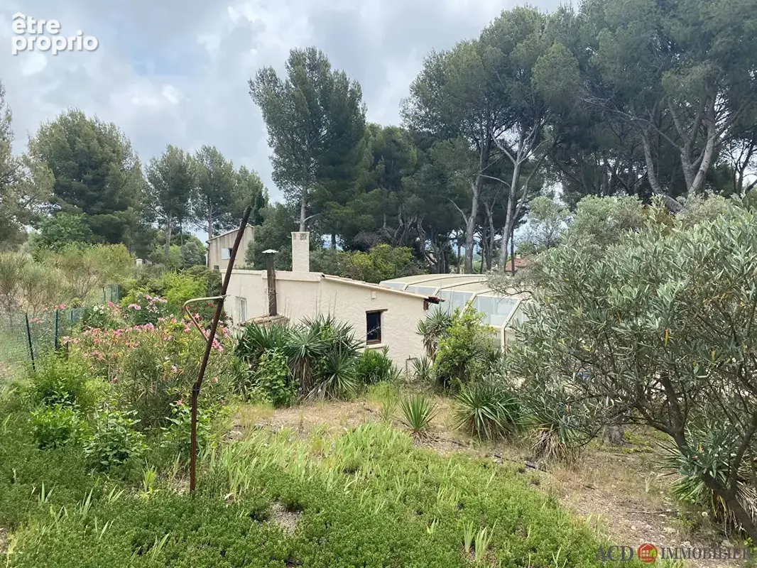 A vendre la fare les oliviers - terrain de 1329 m2 - photo 5