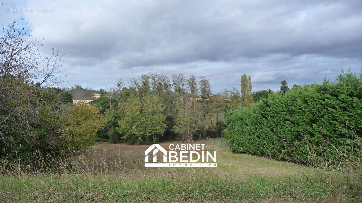 Terrain à BRANNE
