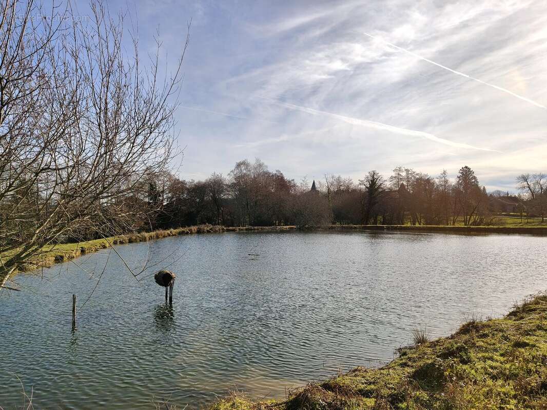 Maison du Périgord avec maison d'amis, 2 étangs, 4 ha - photo 2