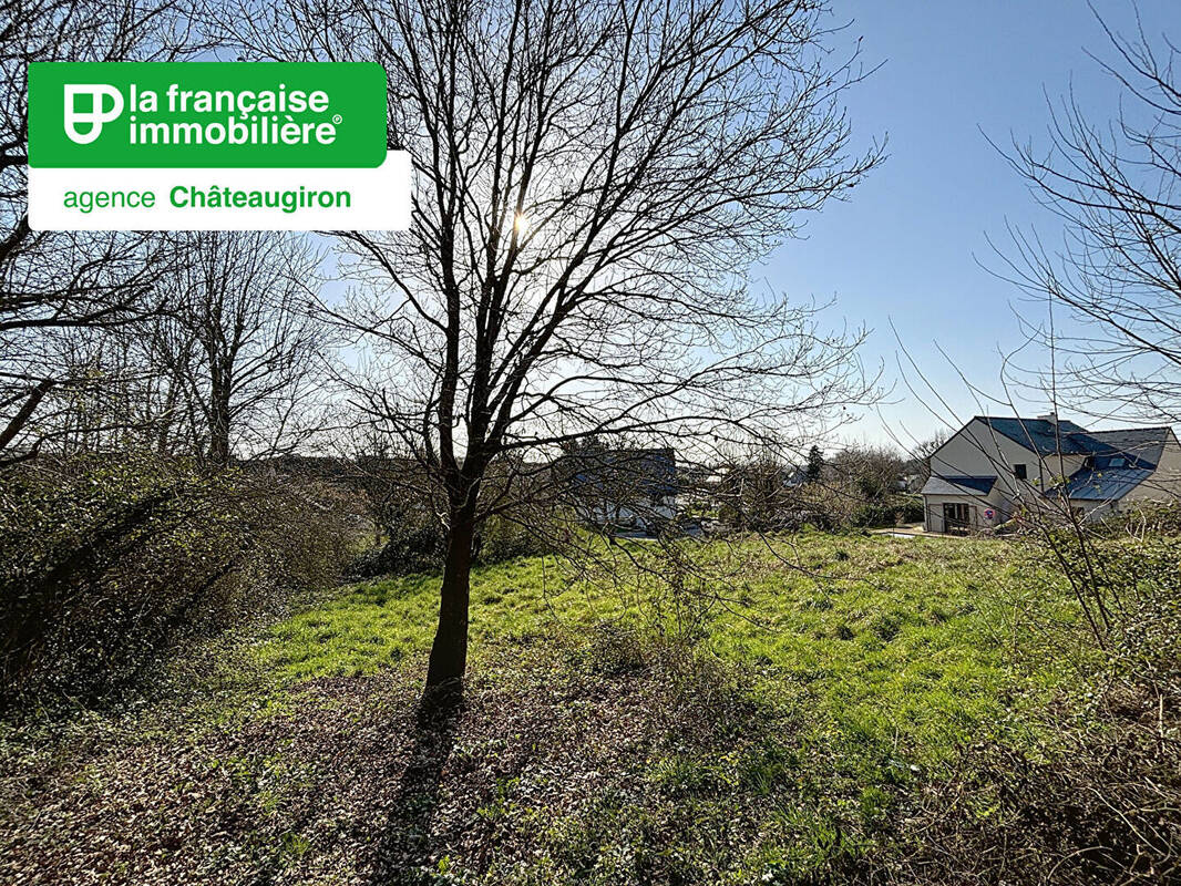 Terrain à NOUVOITOU