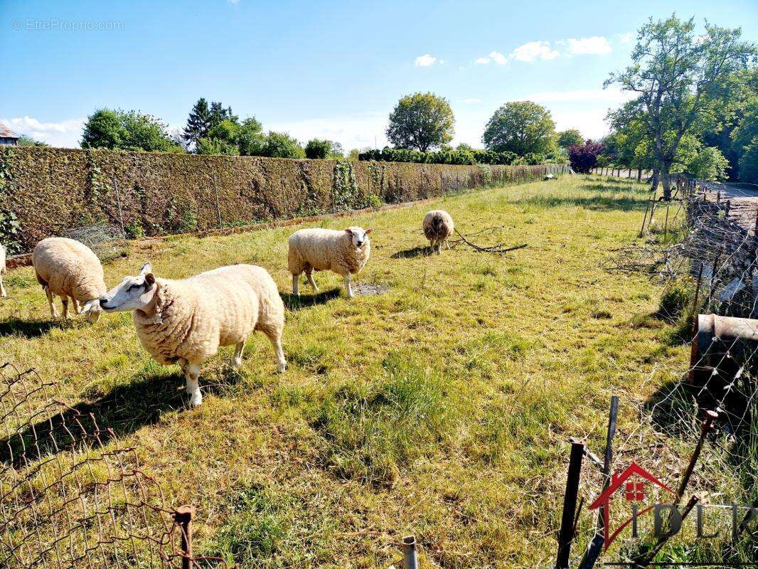 Maison à FAYL-BILLOT