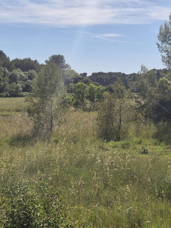 Terrain à LAMBESC