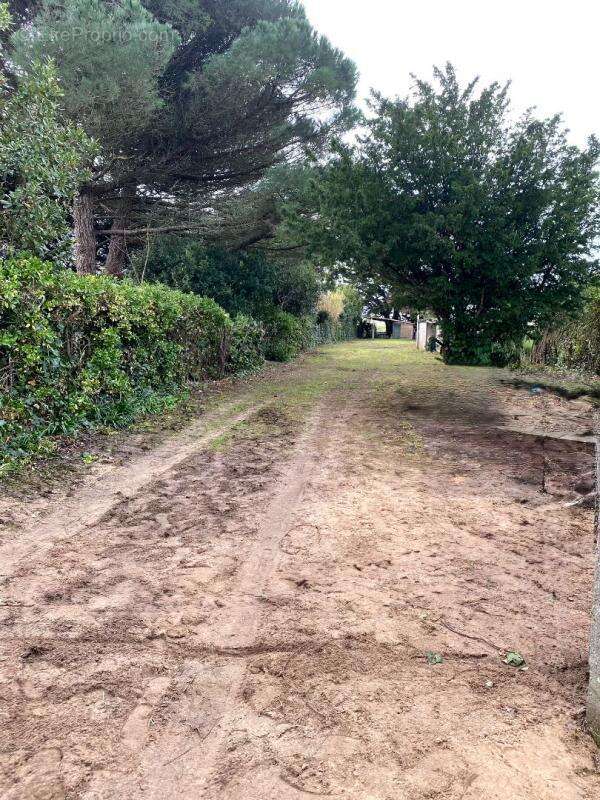 Terrain à NOIRMOUTIER-EN-L'ILE