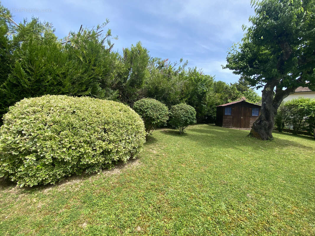 Maison à JOIGNY