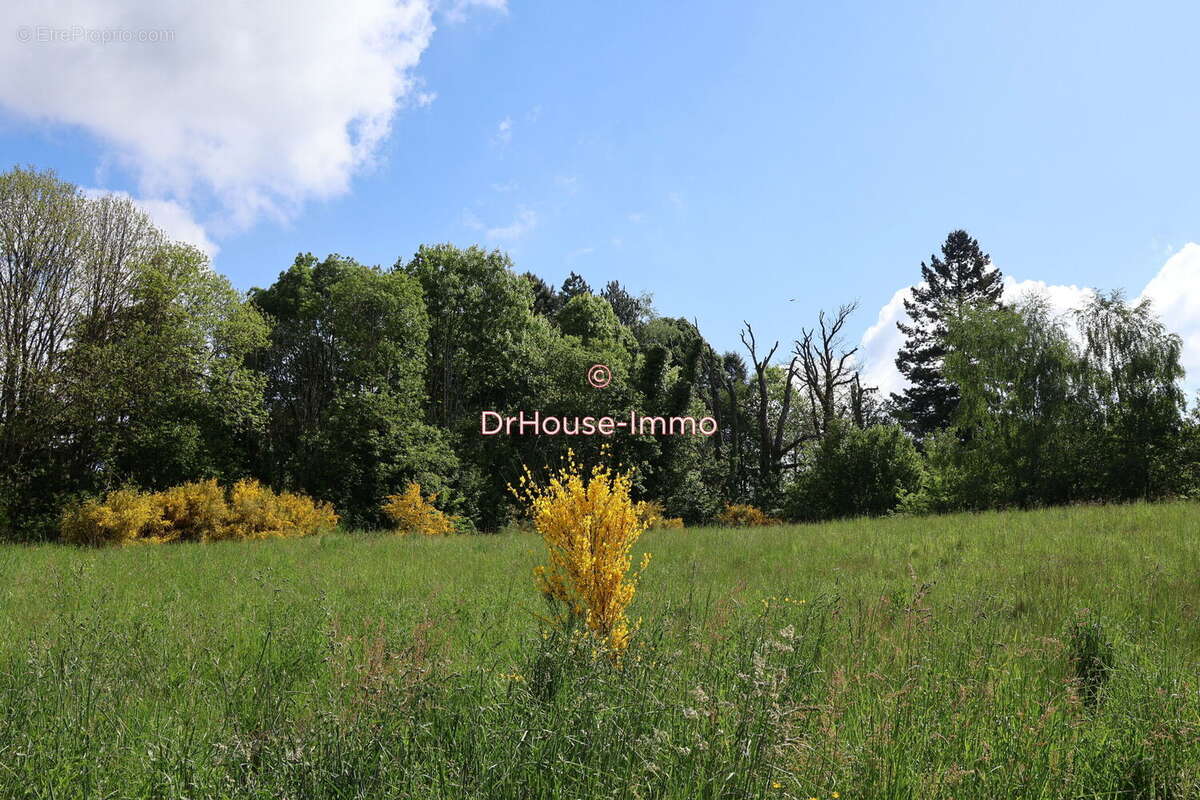 Terrain à SAINT-YRIEIX-LA-PERCHE